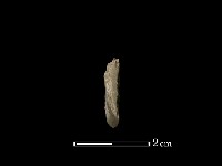 錛鑿形器藏品圖，第2張