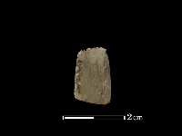 錛鑿形器藏品圖，第3張