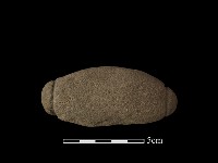 網墜藏品圖，第2張