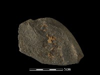 石鋸藏品圖，第1張