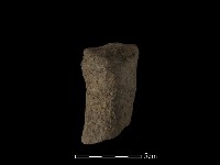 獸足藏品圖，第3張