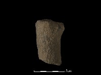 獸足藏品圖，第4張