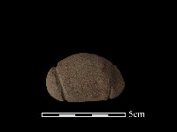 網墜藏品圖，第2張