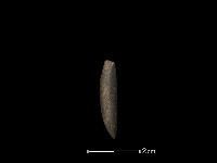 錛鑿形器藏品圖，第2張