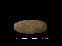 網墜藏品圖，第1張