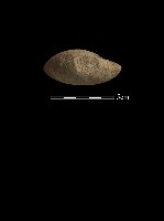 石鎚藏品圖，第1張