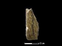 錛鑿形器藏品圖，第2張