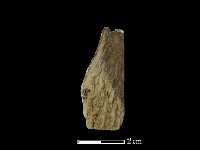 錛鑿形器藏品圖，第1張