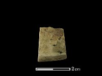 錛鑿形器藏品圖，第2張