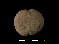 網墜藏品圖，第2張