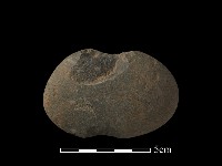 網墜藏品圖，第2張