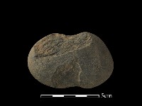 網墜藏品圖，第3張