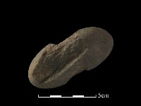 網墜藏品圖，第1張