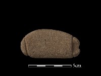 網墜藏品圖，第2張