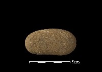 網墜藏品圖，第1張