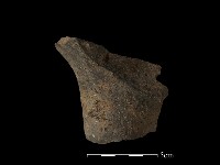 陶蓋藏品圖，第2張