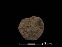 陶紡輪藏品圖，第2張