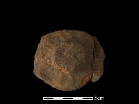 陶蓋鈕藏品圖，第2張