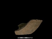 陶蓋鈕藏品圖，第1張