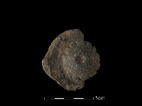 陶蓋鈕藏品圖，第3張