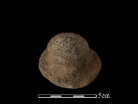 陶蓋鈕藏品圖，第2張