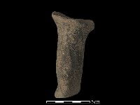 獸足藏品圖，第2張