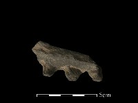 陶罐藏品圖，第4張