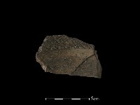 陶罐藏品圖，第3張