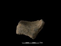 陶罐藏品圖，第4張