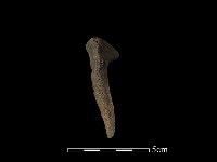 陶罐藏品圖，第1張