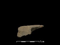 連杯形器藏品圖，第3張