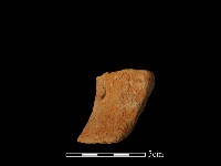 陶片藏品圖，第1張