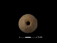 紡輪藏品圖，第2張