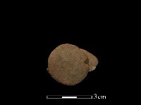 陶蓋鈕藏品圖，第4張