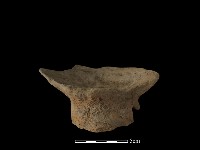 容器藏品圖，第2張