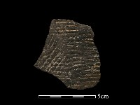 陶片藏品圖，第2張