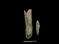 石材藏品圖，第1張