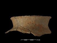 陶罐藏品圖，第1張