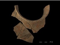 陶罐藏品圖，第3張