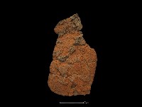 陶片藏品圖，第1張