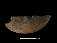 陶片藏品圖，第1張