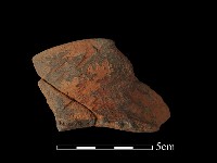 陶片藏品圖，第2張