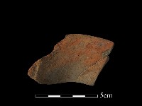 陶片藏品圖，第1張