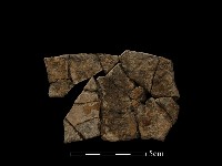 陶片藏品圖，第2張