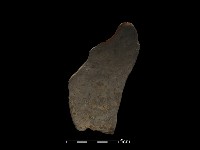 陶片藏品圖，第2張