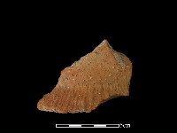 陶罐藏品圖，第1張