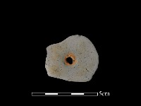 紡輪藏品圖，第2張