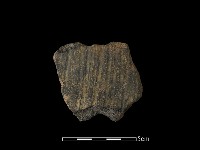 陶片藏品圖，第2張