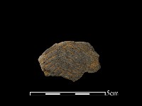 陶片藏品圖，第1張