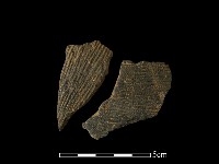 陶片藏品圖，第1張